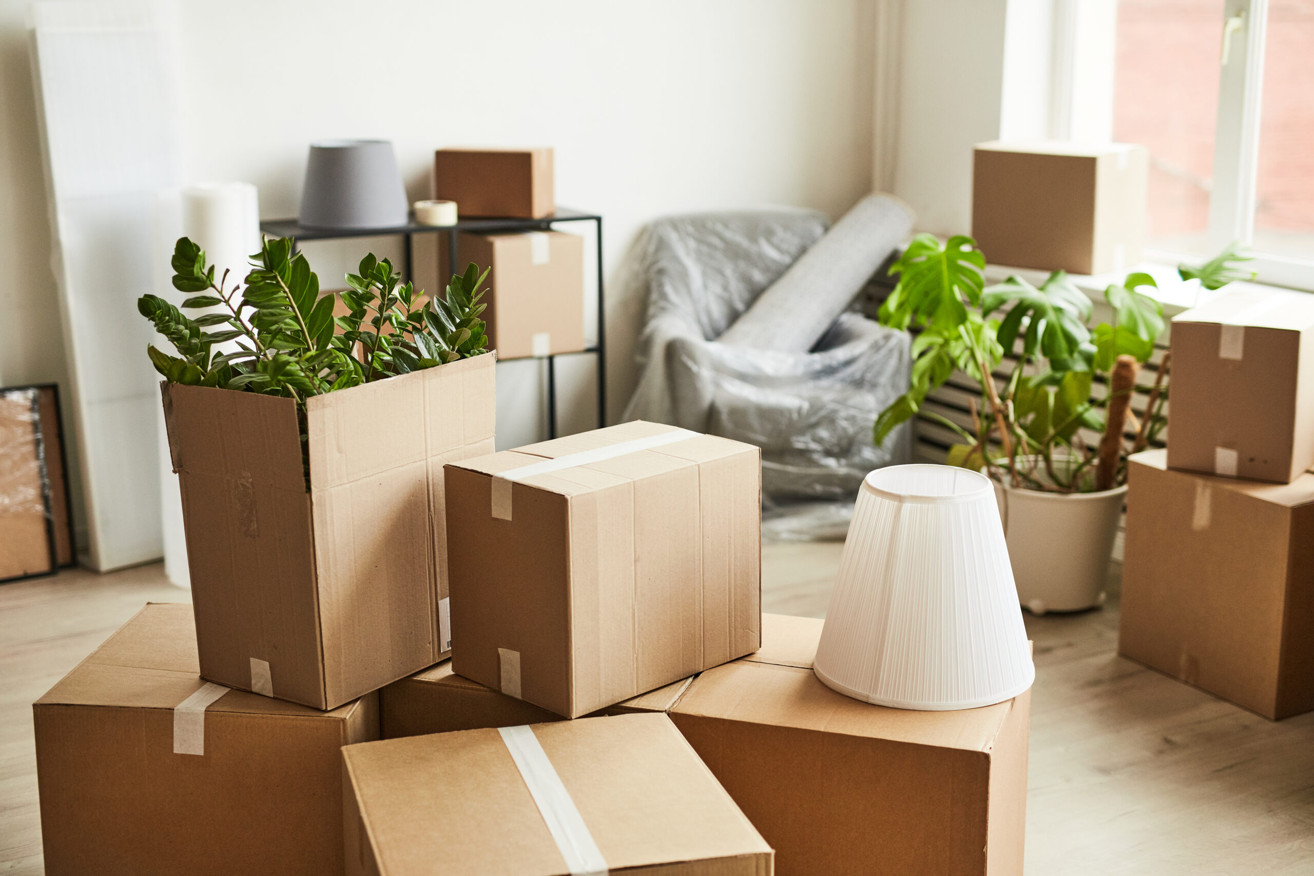 moving boxes and household items inside a home 2026 03 20 04 22 01 utc