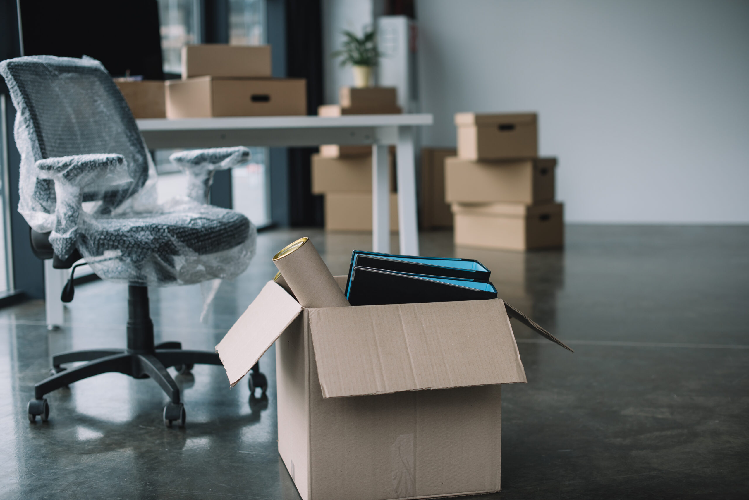 office relocation with cardboard boxes and office 2026 03 13 01 05 19 utc